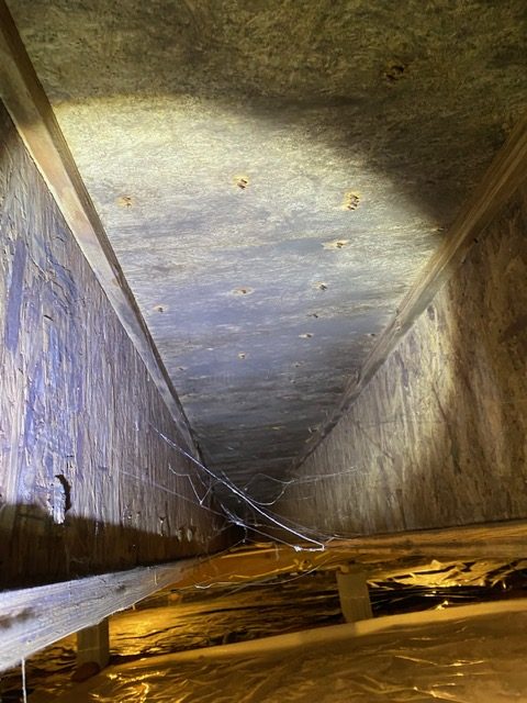 The 5 Places Mold Hides in Every Home (Bathroom, Kitchen, HVAC, Windows, Attic) Dark mold growth found in a crawlspace, an area that is rarely inspected