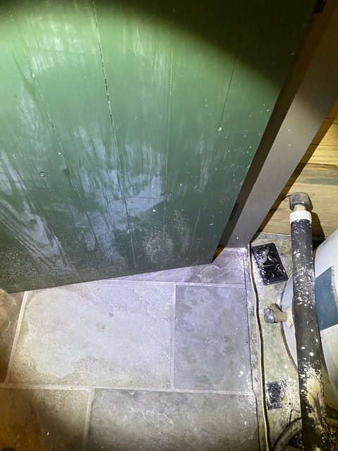 Surface mold bloom on a green painted door