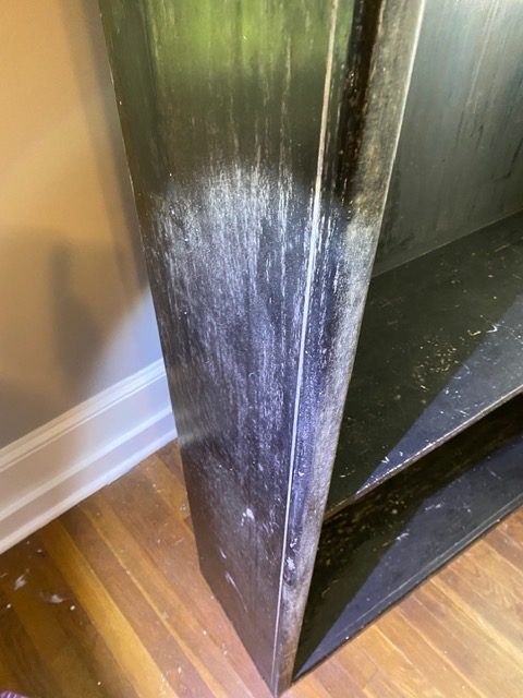 Surface Mold vs. Water Intrusion: How to Tell the Difference SurfaceBloom1