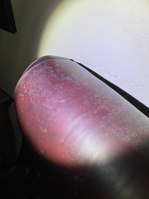 Surface mold growth on a leather chair