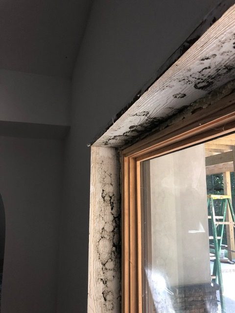 The 5 Places Mold Hides in Every Home (Bathroom, Kitchen, HVAC, Windows, Attic) Mold growth on a window casing where condensation collects